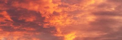 taylordawson81 thumbnail