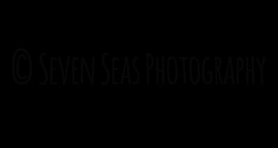 sadsuccubus666 thumbnail