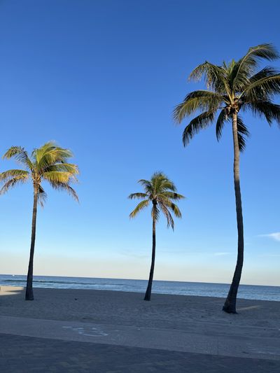 arielazulxo thumbnail