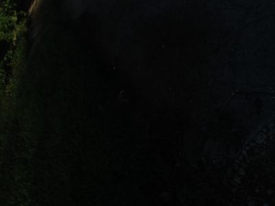 bigwhitedick420 thumbnail