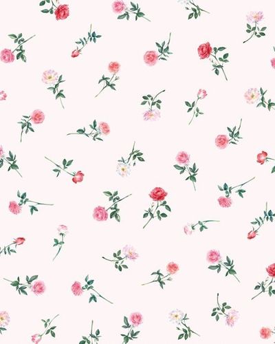 Chocolate Chip✨ thumbnail