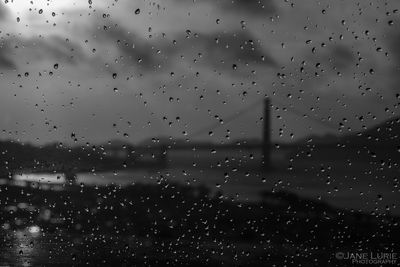 scarlet.photography thumbnail