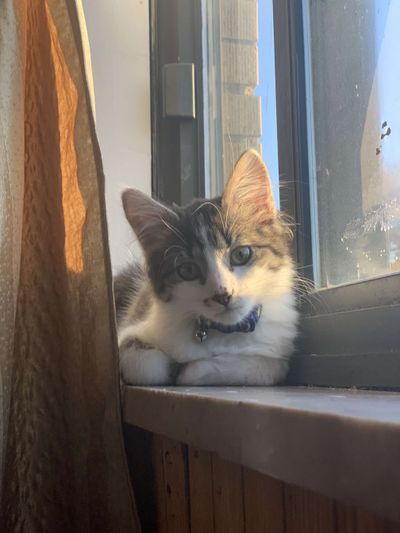 chandlyrlove thumbnail