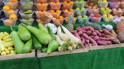 olliepussy thumbnail