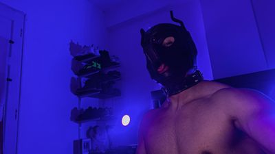 pup.beetle thumbnail