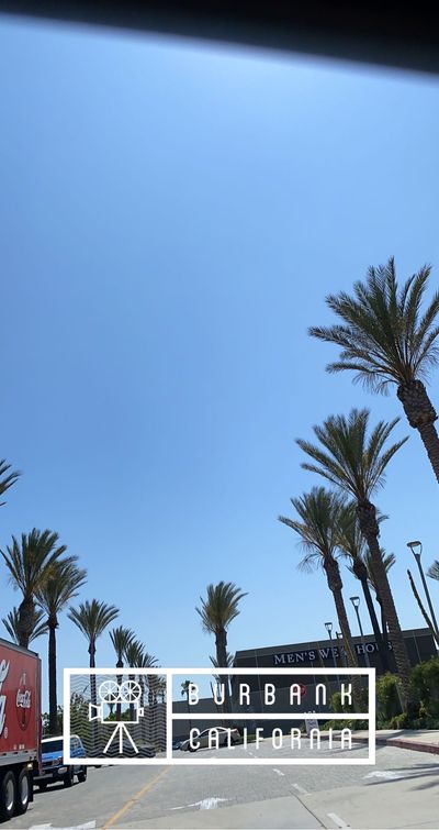 martynhale thumbnail