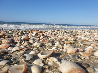 sogniproibiti thumbnail