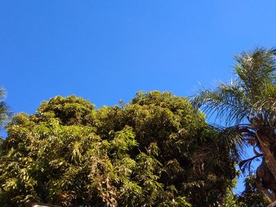 u170944792 thumbnail