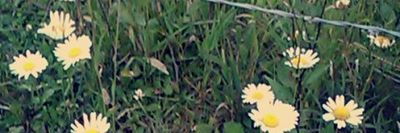 theteacher199327 thumbnail