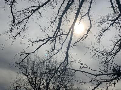 missshaddow thumbnail