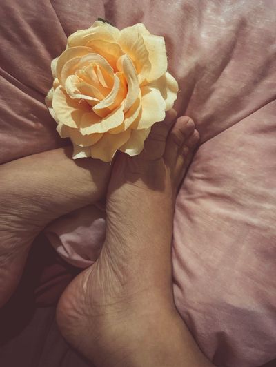 filipinafeet profile