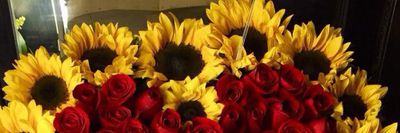 golden_honey99 thumbnail