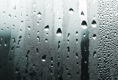 KingDick 👑 thumbnail