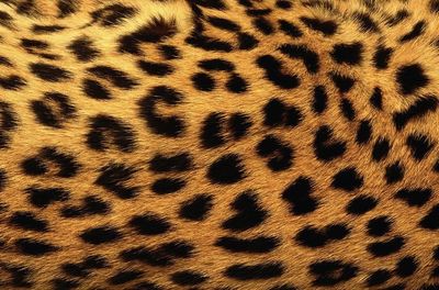 dariansexclusive thumbnail