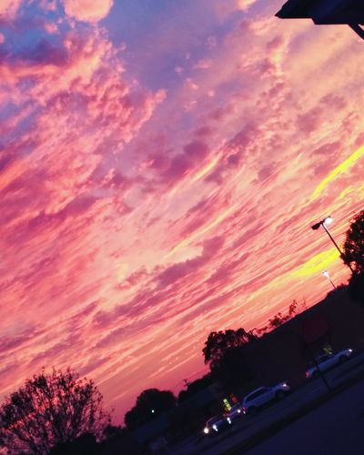 Camryn Slivinski thumbnail