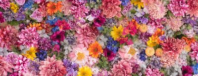 bustyblonde101 thumbnail