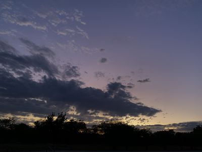 theboywithpurplehair thumbnail