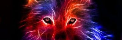 zeowolfrider300 thumbnail