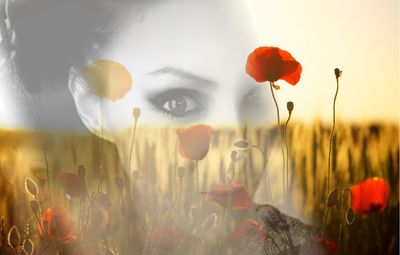 suffokateme thumbnail