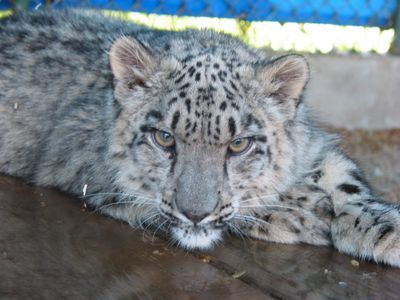 mrjordan0529 profile