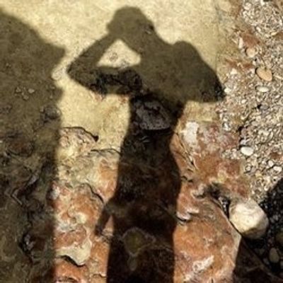 teddypaulista profile