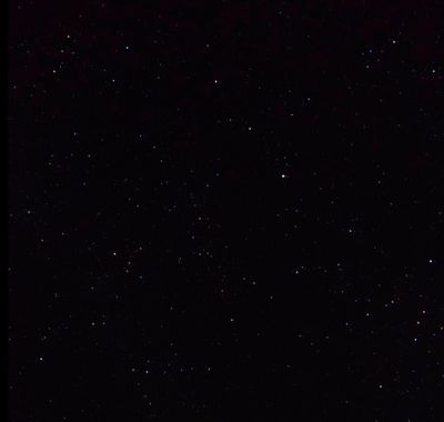 rose_exposed thumbnail