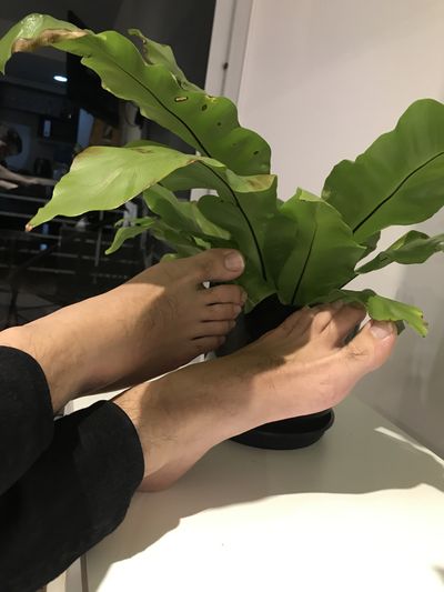 hornyfeet69 thumbnail