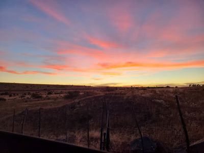 sugarcookie71327 thumbnail