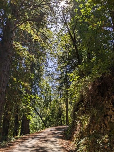 sillylittlebutt thumbnail