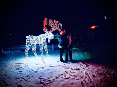 downdawg420 thumbnail