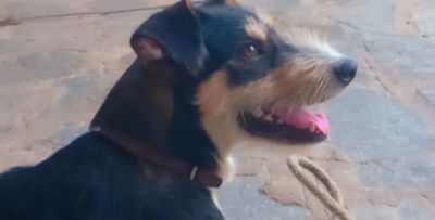 u177523177 thumbnail