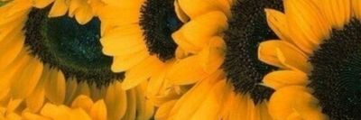 moosenhamburger thumbnail