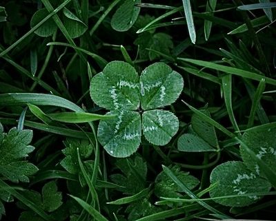 u180478608 thumbnail