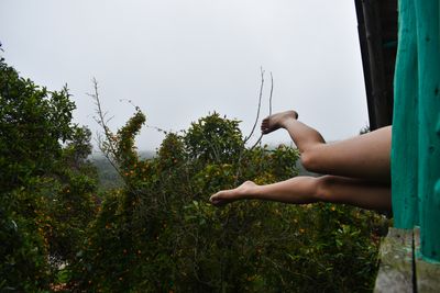 free_sweet_summer thumbnail