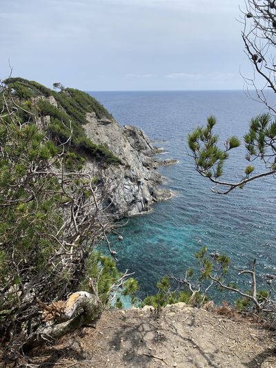 nyc_ricardo thumbnail