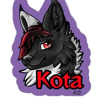 my.name.is.kota thumbnail