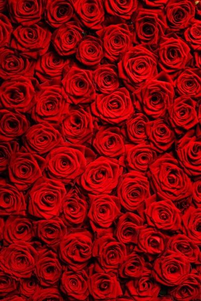 rhearangexo thumbnail