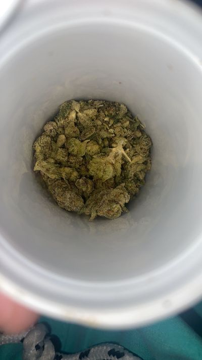 berrocal.x thumbnail