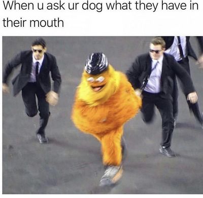 Maxyne Epyx thumbnail