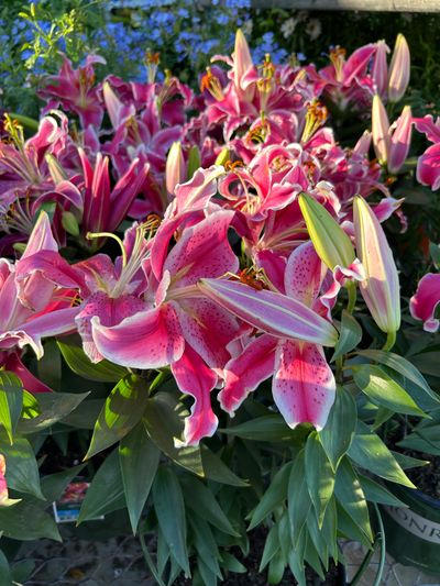 hunterhyde420 thumbnail