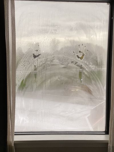 cryptokitty0218 thumbnail