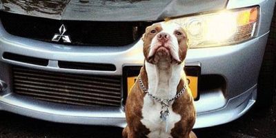 christown96 thumbnail