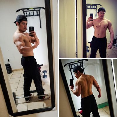 datamxfitness profile