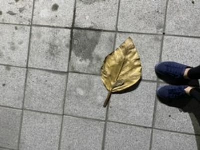 onlyfeetno1 thumbnail