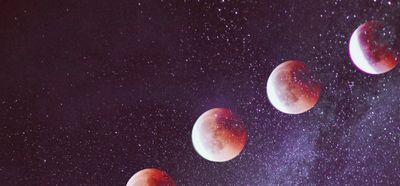 vanzsavy113 thumbnail