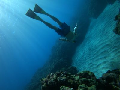 bobfrank270 thumbnail