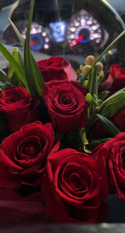 vella_babes thumbnail