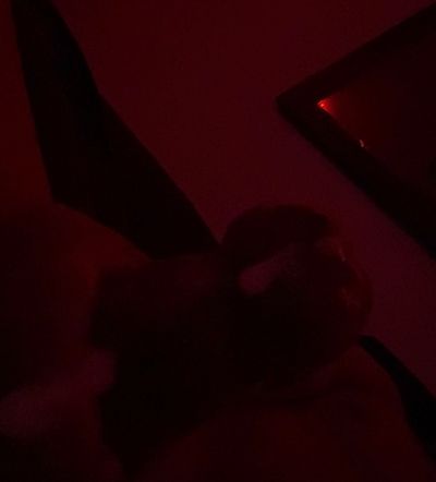 Meat King 🍆💦 profile