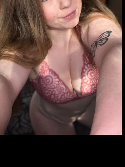 winterwylde thumbnail