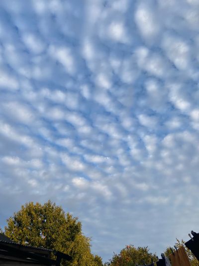 sweetaspie98x thumbnail